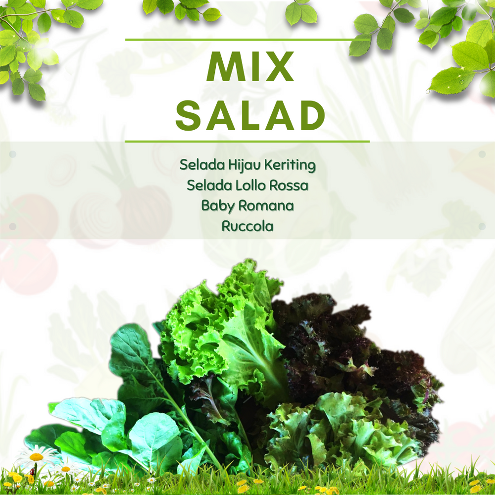 Mix Salad