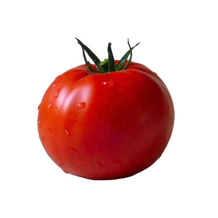 Tomat Besar 500gr